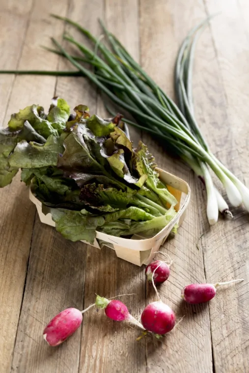 🌸 Mettez du printemps dans votre assiette avec votre diététicienne proche de Saint-Omer, Saint-Omer, Natur'O Diet